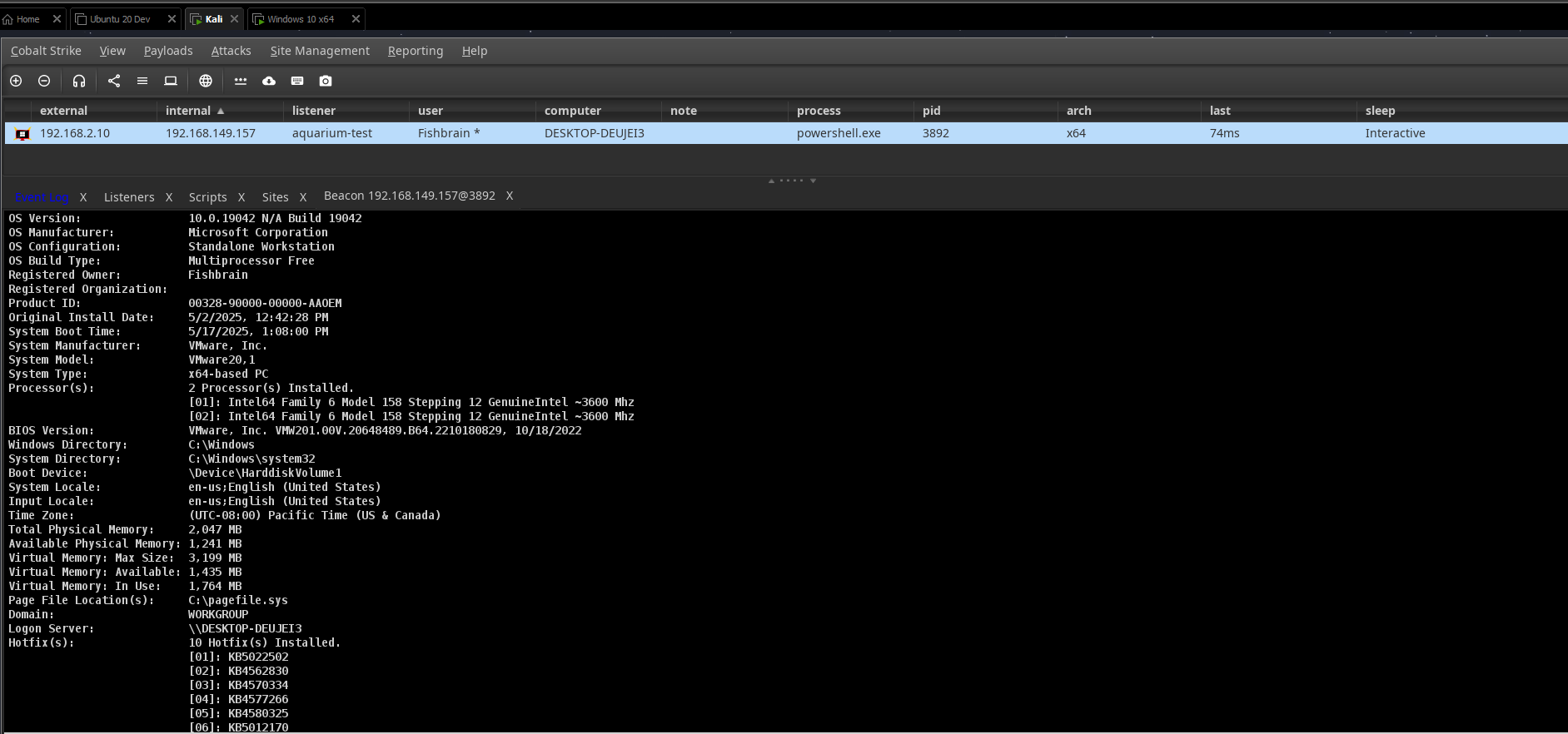 Cobalt Strike beacon active on a Windows 10 target VM